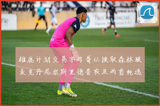雄鹿计划交易字母哥以换取森林狼麦克丹尼尔斯里德香农及两首轮选秀权